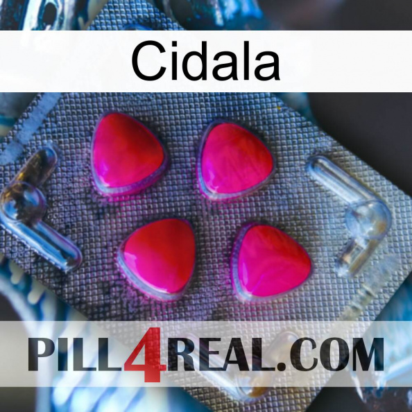 Cidala 13